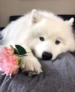 Дмитрий Зубков
