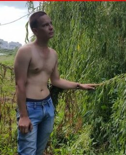 Алекс